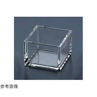 �N���A�e�@���@�Q�U�W�R�U�@�Q�U�W�R�U�@�P��