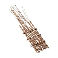 ��������i�ׁE���j�@�Q�T�Q�T�Q�@�Q�T�Q�T�Q�@�P��