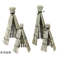 �C����͂�