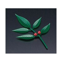 �����V�i���j�i�Q�O�O�����j�@�Q�T�W�W�V�@�Q�T�W�W�V�@�P�Z�b�g