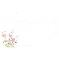 �ڂR�l�G�ʂ܂��Ɓ@�ԕւ�@���������i�W���[�X���j�@�i�P�O�O�����j�@�U�U�U�R�O�@�U�U�U�R�O�@�P�Z�b�g