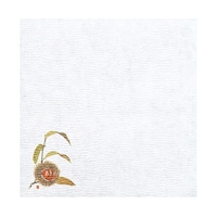 �T���O�����~���@�I�i�W���[�P�O���j�@�i�P�O�O�����j�@�U�S�V�T�Q�@�U�S�V�T�Q�@�P�Z�b�g