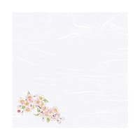 �S���l�G�ʉ_���~���@���i�R���[�S���j�@�i�P�O�O�����j�@�U�W�W�O�T�@�U�W�W�O�T�@�P�Z�b�g