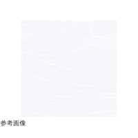 �S���_���~���@���n�@�i�Q�O�O�����j�@�U�W�W�S�P�@�U�W�W�S�P�@�P�Z�b�g