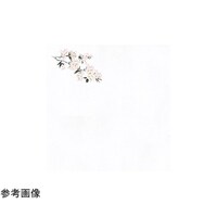 �ԉ��ϖ��V���@���i�R���[�S���j�@�S���@�i�P�O�O�����j�@�U�W�U�O�T�@�U�W�U�O�T�@�P�Z�b�g