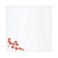 �S���䏊�̉ԁ@�ϖ��V���@�Ԃ��݂��i�P�O���[�P�P���j�i�P�O�O�����j�@�U�T�W�Q�Q�@�U�T�W�Q�Q�@�P�Z�b�g