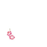 �ԕ��@�~�j�ϖ��V���@�~�i�P���[�R���j�i�P�O�O�����j�@�U�U�R�T�Q�@�U�U�R�T�Q�@�P�Z�b�g