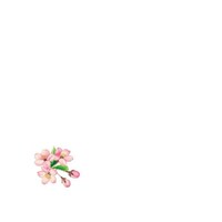 �ԕ��@�~�j�ϖ��V���@���i�R���[�S���j�i�P�O�O�����j�@�U�U�R�T�R�@�U�U�R�T�R�@�P�Z�b�g