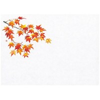 ���ԕۑN���i���j�g�t�i�P�O���[�P�P���j�i�P�O�O�����j�@�U�S�T�U�R�@�U�S�T�U�R�@�P�Z�b�g