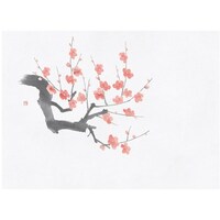 �l�G�ʑN�x�ێ����@�~�i�P���[�R���j�i�P�O�O�����j�@�U�X�O�O�P�@�U�X�O�O�P�@�P�Z�b�g