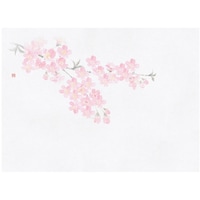 �l�G�ʑN�x�ێ����@���i�R���[�S���j�i�P�O�O�����j�@�U�X�O�O�R�@�U�X�O�O�R�@�P�Z�b�g