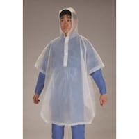 �d�`�X�X�U�x�g�|�P�O�@�m�t���[�n�@�g���̂ă��C���|