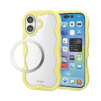 ���o���������P�V�@�P�[�X�@�E�F�[�u�@�C�G���[