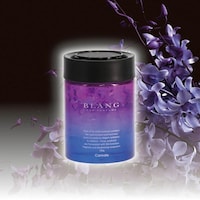 �F���܁@�u�����O�@�Q�����[�W�@�G���[�V���i���[�@�z