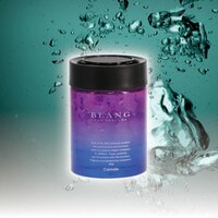 �F���܁@�u�����O�@�Q�����[�W�@�G���[�V���i���[�@�u