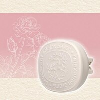 �F���܁@�����b�N�X�T�{���@�N���b�v�@���[�Y�T�{��