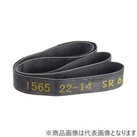 �o�C�N�p�����o���h�@�Q�Q�|�P�S�@�o���h���F�Q�Q����