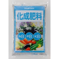 �����엿�W�W�W�@�P�O����