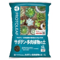 �T�{�e�������A���̓y�@�P�S�k�@�p�y�@�|�{�y�@�P��