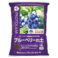 �u���[�x���[�̓y�@�P�S�k