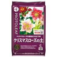 �N���X�}�X���[�Y�̓y�@�T�k�@�p�y�@�|�{�y�@�P��