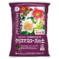 �N���X�}�X���[�Y�̓y�@�P�Q�k�@�p�y�@�|�{�y�@�P��