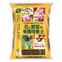 �ԂƖ�؂̗L�@���|�{�y�@�P�Q�k