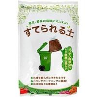 ���Ă���y�@�T�k