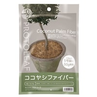 �R�R���V�t�@�C�o�[�@�T�O��