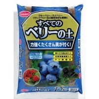 ���ׂẴx���[�̓y�@�X�e�r�A�z���@�P�Q�k