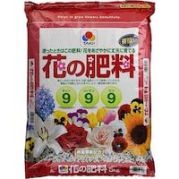 �^�L�C�Ԃ̔엿�@�T����