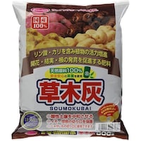 ���؊D�@�T�O�O��