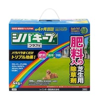 _@VoL[vvXu@Sj@܁@Őp@̂܂܎g@P