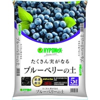 �u���[�x���[�̓y�@�T�k