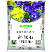 ����΁@�T�k