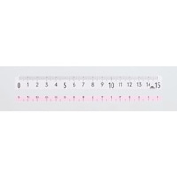 ������K���N�~�G���[���[�P�T�����@�s���N�~�P�O