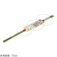 �����O�x���@�S�T����