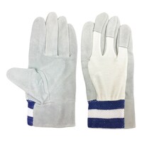 �`�f�S�O�T�@�����v��܁@�w����