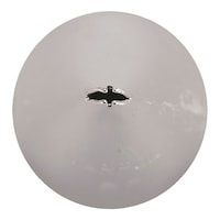 ��������@���U�T