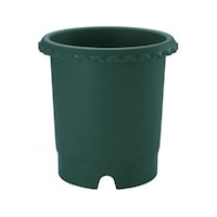 �o�����@�W���@�_�[�N�O���[��