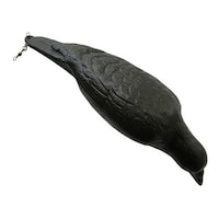 �h���ɂ��J���X