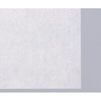 �T�O�Q�O�P�@�m���X���b�v�V�[�c�@�P��