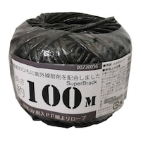 �ό�t�u�ޓ��o�o���[�v�ׂ��@��P�O�O�l