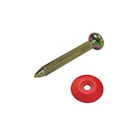 �R�m�G�l�C���Z�b�g�@�ԁ@�P�O���@�m���D�P�r�@�m���D�P�r�@�P�Z�b�g