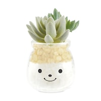 �t�F�C�N�O���[���@�l�H�ϗt�A���@�t�@�~�[��