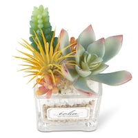 �t�F�C�N�O���[���@�G�N���A�@���L�A�[�e�B�t�B�V�����O���[���@�r�T�C�Y�@�a�^�C�v