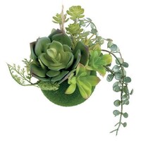 �t�F�C�N�O���[���@�n���M���O�{�[���@�r�@�G�N���A�@�b�s�G�}�@�ϗt�A���@�b