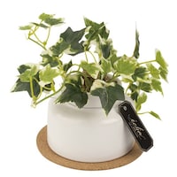 �t�F�C�N�O���[���@�A�C�r�[�@�l�@�l�H�ϗt�A���@�G�N���A