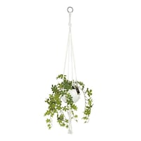 �t�F�C�N�O���[���@�V���K�[�o�C���@�G�N���A�@�n���M���O�@�V���K�[�o�C��