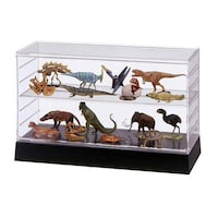 �R���N�V�����P�[�X�@�X�^�b�N�X�N�G�A�i�x�[�X�j